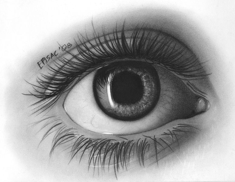 Image:Eye drawing by episac.jpg